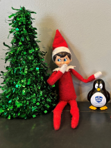 ELF SIR COOL