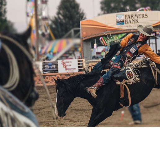 Gooding Pro Rodeo